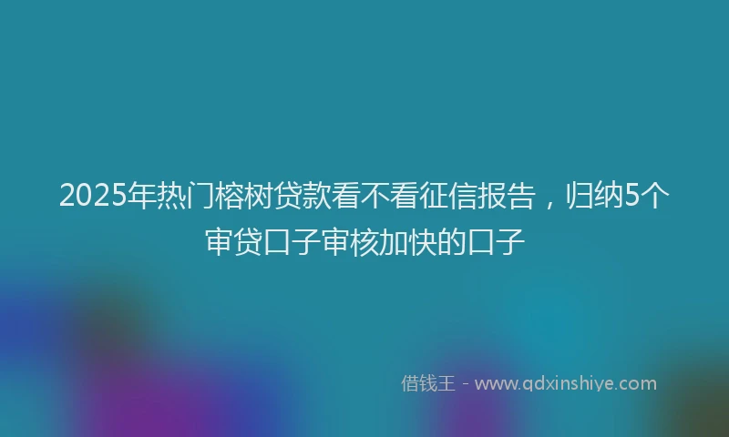 2025年热门榕树贷款看不看征信报告，归纳5个审贷口子审核加快的口子