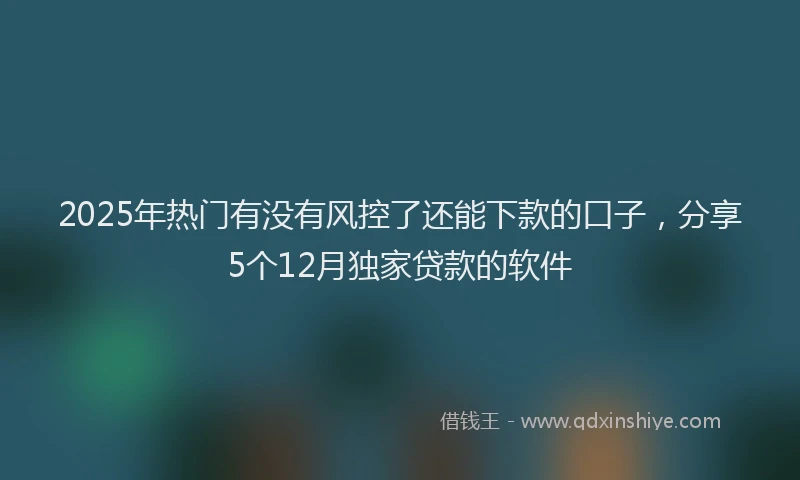 2025年热门有没有风控了还能下款的口子，分享5个12月独家贷款的软件