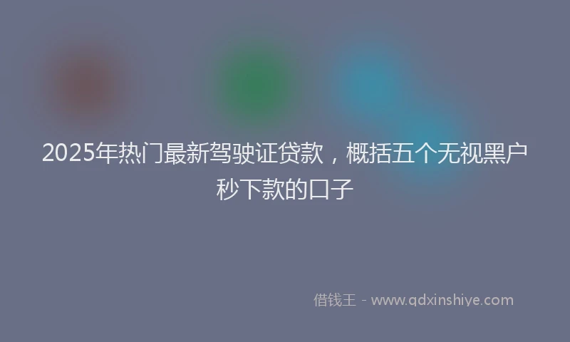 2025年热门最新驾驶证贷款，概括五个无视黑户秒下款的口子