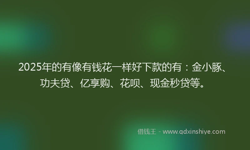 2025年的有像有钱花一样好下款的有：金小豚、功夫贷、亿享购、花呗、现金秒贷等。