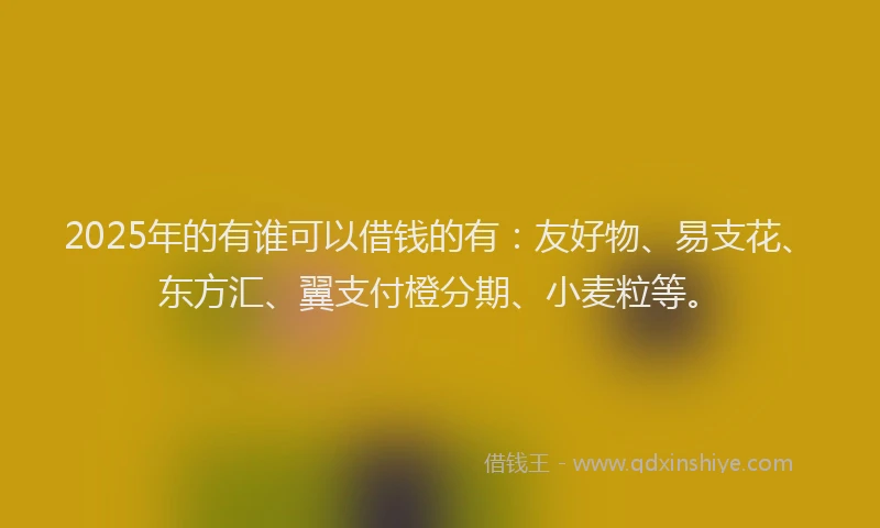2025年的有谁可以借钱的有：友好物、易支花、东方汇、翼支付橙分期、小麦粒等。