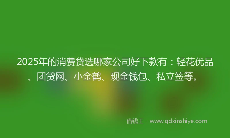 2025年的消费贷选哪家公司好下款有：轻花优品、团贷网、小金鹤、现金钱包、私立签等。