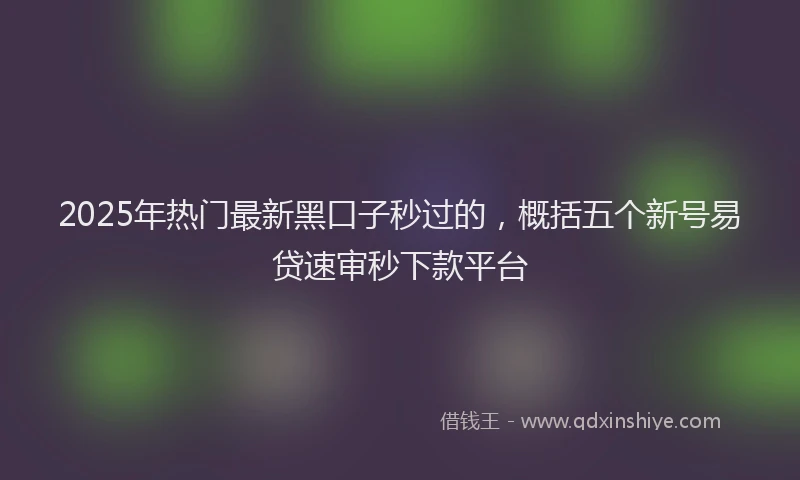 2025年热门最新黑口子秒过的,概括五个新号易贷速审秒下款平台