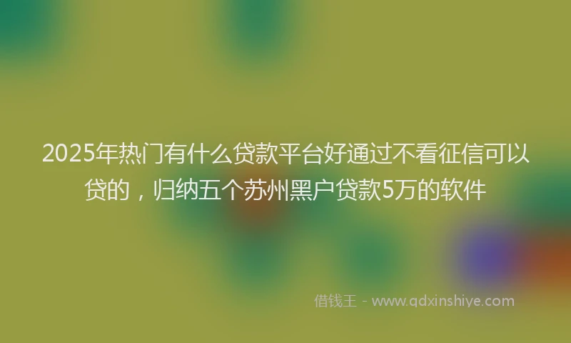 2025年热门有什么贷款平台好通过不看征信可以贷的，归纳五个苏州黑户贷款5万的软件