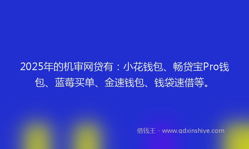 2025年的机审网贷有：小花钱包、畅贷宝Pro钱包、蓝莓买单、金速钱包、钱袋速借等。
