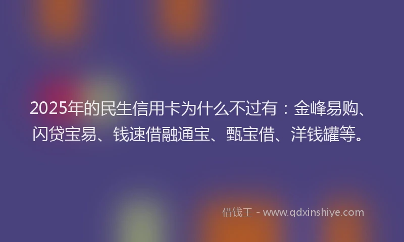 2025年的民生信用卡为什么不过有：金峰易购、闪贷宝易、钱速借融通宝、甄宝借、洋钱罐等。