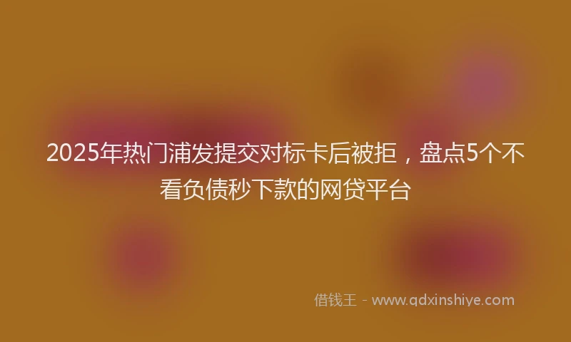 2025年热门浦发提交对标卡后被拒，盘点5个不看负债秒下款的网贷平台