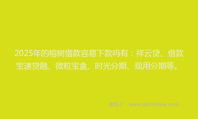 2025年的榕树借款容易下款吗有：祥云贷、借款宝速贷融、微粒宝盒、时光分期、现用分期等。