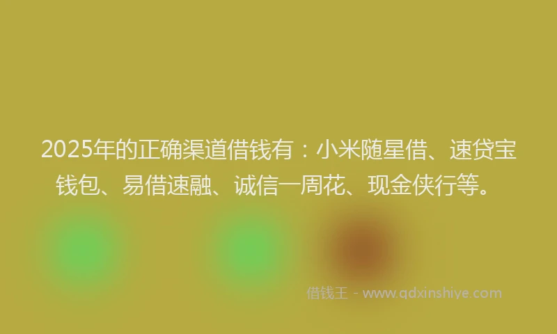 2025年的正确渠道借钱有：小米随星借、速贷宝钱包、易借速融、诚信一周花、现金侠行等。