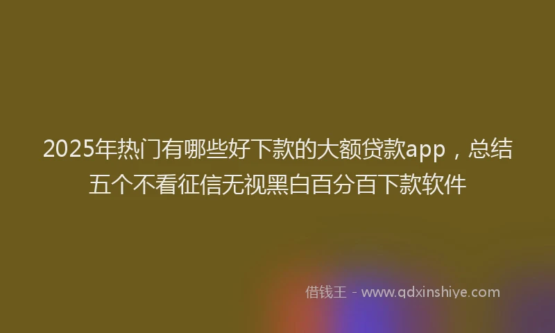 2025年热门有哪些好下款的大额贷款app，总结五个不看征信无视黑白百分百下款软件