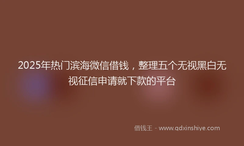 2025年热门滨海微信借钱，整理五个无视黑白无视征信申请就下款的平台