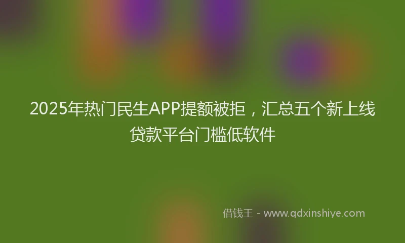 2025年热门民生APP提额被拒，汇总五个新上线贷款平台门槛低软件