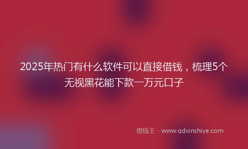 2025年热门有什么软件可以直接借钱，梳理5个无视黑花能下款一万元口子
