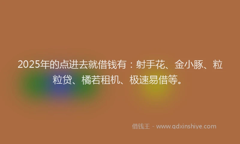 2025年的点进去就借钱有：射手花、金小豚、粒粒贷、橘若租机、极速易借等。