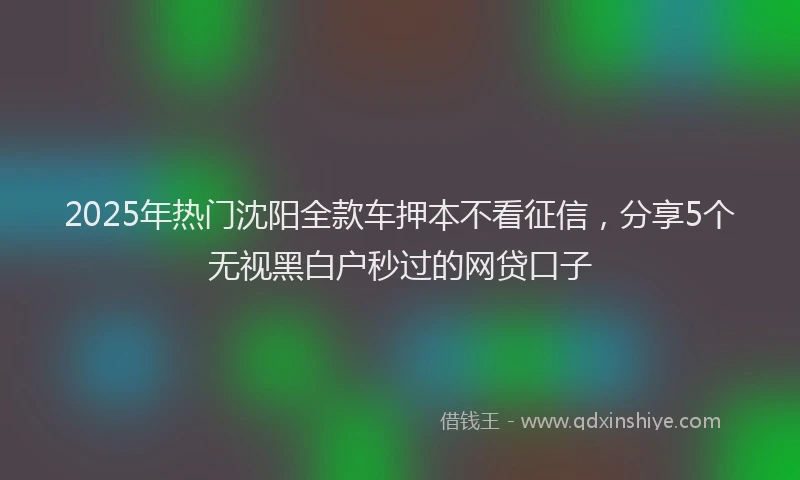 2025年热门沈阳全款车押本不看征信，分享5个无视黑白户秒过的网贷口子