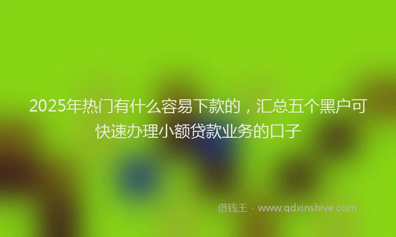 2025年热门有什么容易下款的，汇总五个黑户可快速办理小额贷款业务的口子