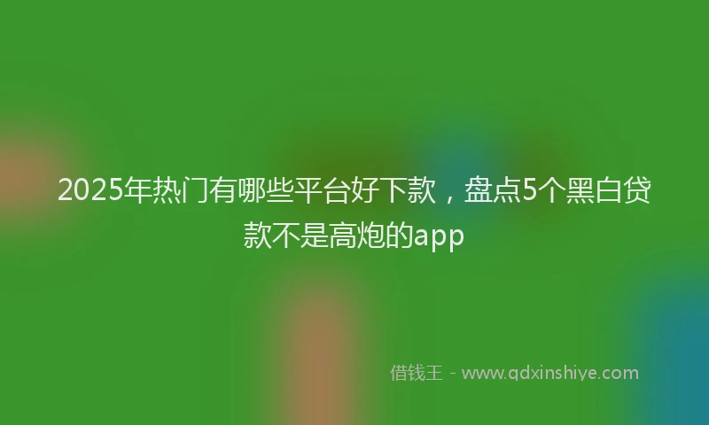 2025年热门有哪些平台好下款，盘点5个黑白贷款不是高炮的app
