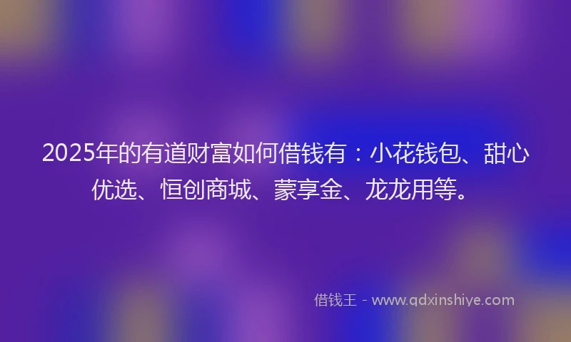 2025年的有道财富如何借钱有:小花钱包、甜心优选、恒创商城、蒙享金、龙龙用等。