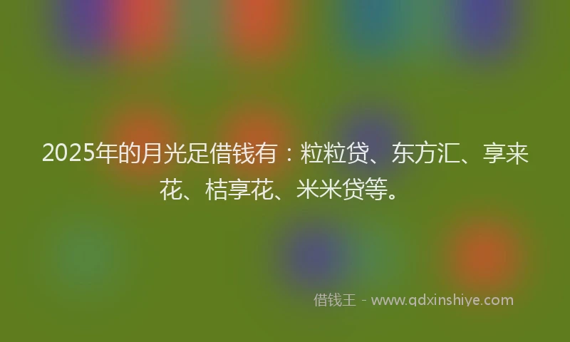 2025年的月光足借钱有：粒粒贷、东方汇、享来花、桔享花、米米贷等。