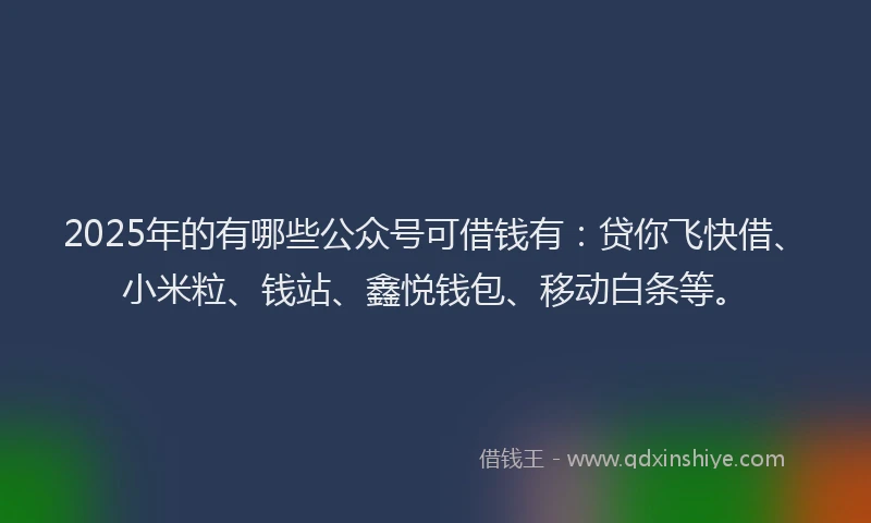 2025年的有哪些公众号可借钱有：贷你飞快借、小米粒、钱站、鑫悦钱包、移动白条等。