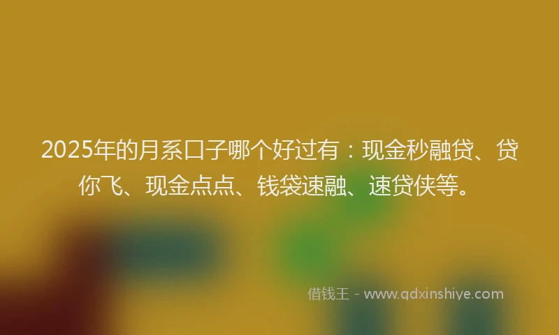 2025年的月系口子哪个好过有：现金秒融贷、贷你飞、现金点点、钱袋速融、速贷侠等。