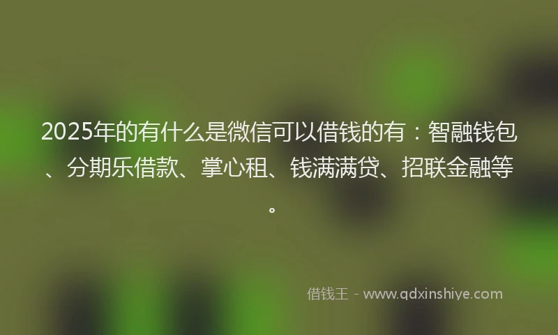 2025年的有什么是微信可以借钱的有:智融钱包、分期乐借款、掌心租、钱满满贷、招联金融等。