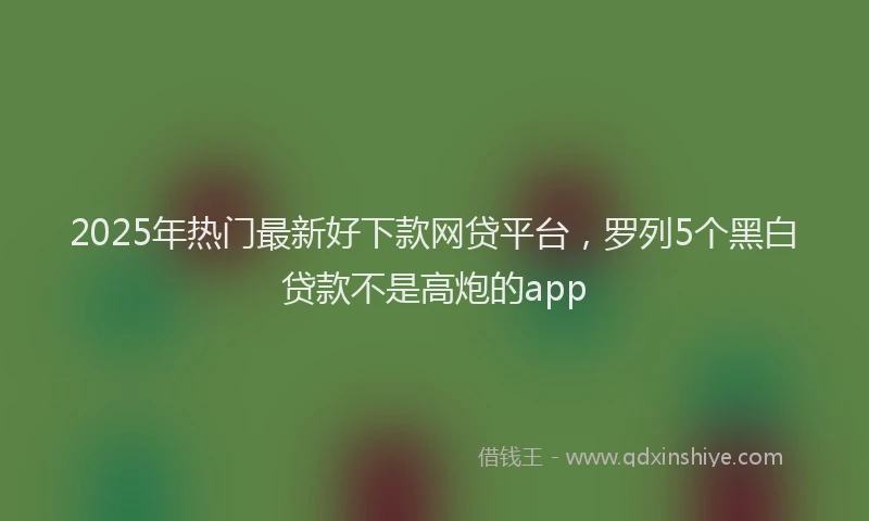 2025年热门最新好下款网贷平台，罗列5个黑白贷款不是高炮的app