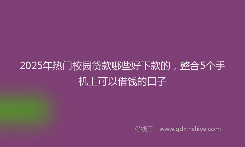 2025年热门校园贷款哪些好下款的，整合5个手机上可以借钱的口子