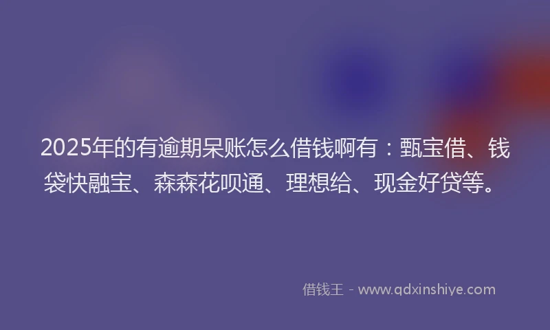 2025年的有逾期呆账怎么借钱啊有：甄宝借、钱袋快融宝、森森花呗通、理想给、现金好贷等。