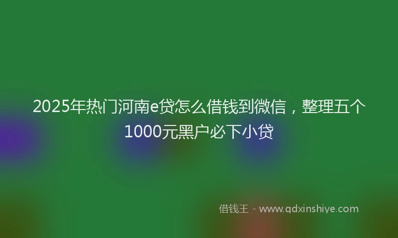 2025年热门河南e贷怎么借钱到微信，整理五个1000元黑户必下小贷