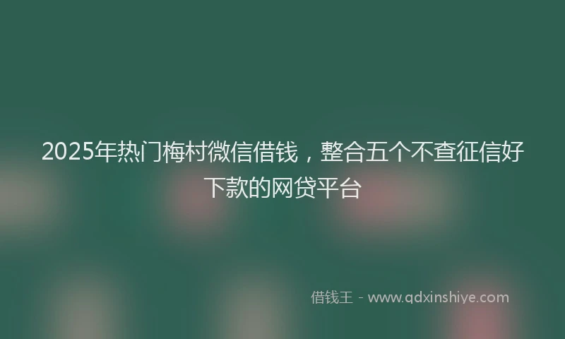 2025年热门梅村微信借钱，整合五个不查征信好下款的网贷平台