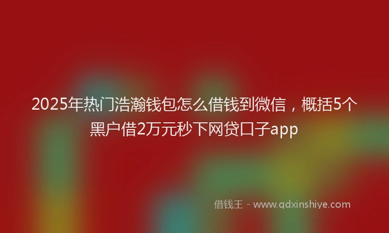 2025年热门浩瀚钱包怎么借钱到微信,概括5个黑户借2万元秒下网贷口子app