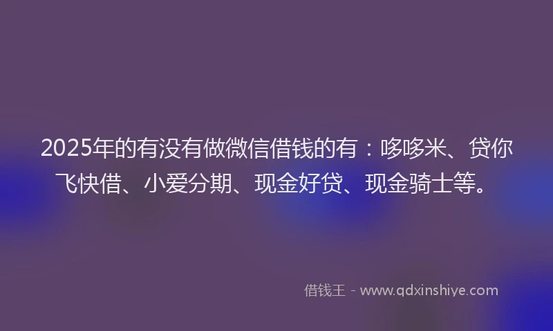 2025年的有没有做微信借钱的有:哆哆米、贷你飞快借、小爱分期、现金好贷、现金骑士等。