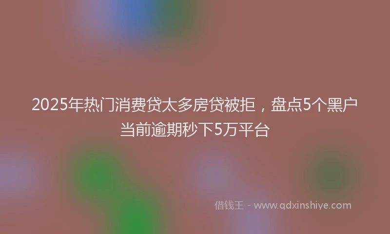 2025年热门消费贷太多房贷被拒，盘点5个黑户当前逾期秒下5万平台