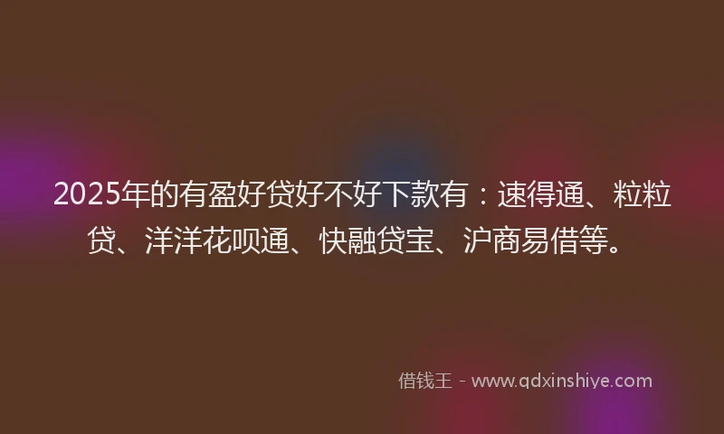 2025年的有盈好贷好不好下款有：速得通、粒粒贷、洋洋花呗通、快融贷宝、沪商易借等。