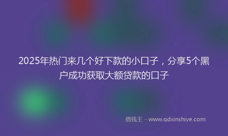 2025年热门来几个好下款的小口子，分享5个黑户成功获取大额贷款的口子