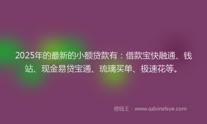 2025年的最新的小额贷款有：借款宝快融通、钱站、现金易贷宝通、琉璃买单、极速花等。