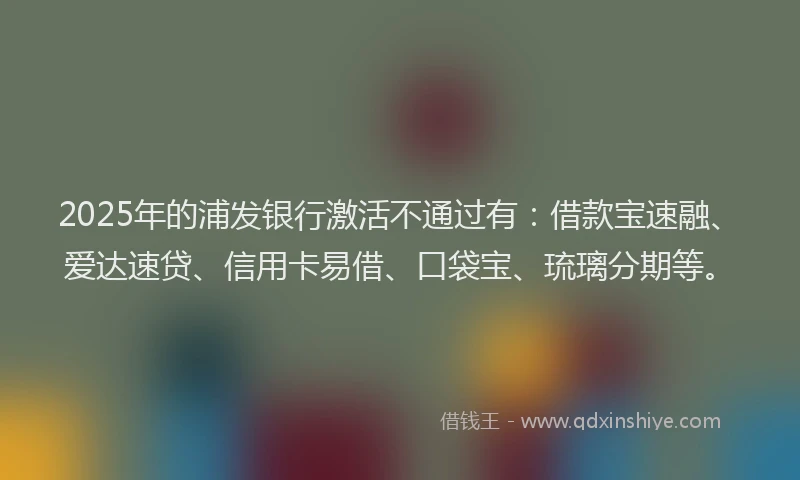 2025年的浦发银行激活不通过有：借款宝速融、爱达速贷、信用卡易借、口袋宝、琉璃分期等。