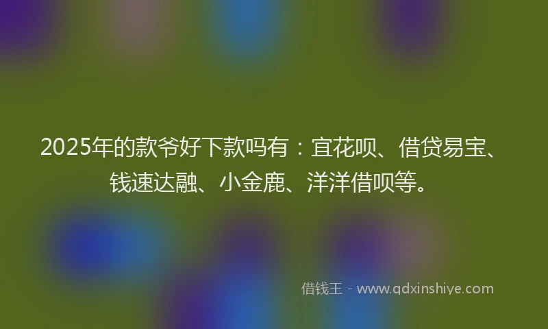 2025年的款爷好下款吗有：宜花呗、借贷易宝、钱速达融、小金鹿、洋洋借呗等。