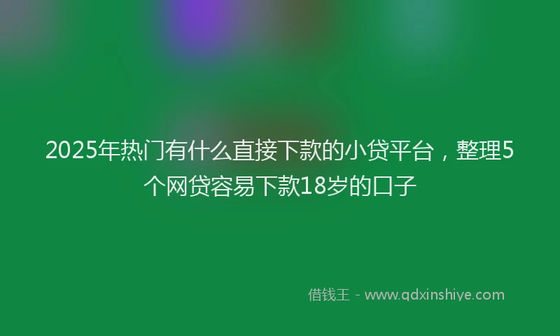 2025年热门有什么直接下款的小贷平台，整理5个网贷容易下款18岁的口子