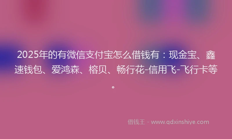 2025年的有微信支付宝怎么借钱有：现金宝、鑫速钱包、爱鸿森、榕贝、畅行花-信用飞-飞行卡等。