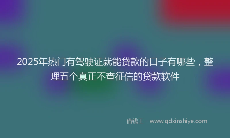 2025年热门有驾驶证就能贷款的口子有哪些，整理五个真正不查征信的贷款软件