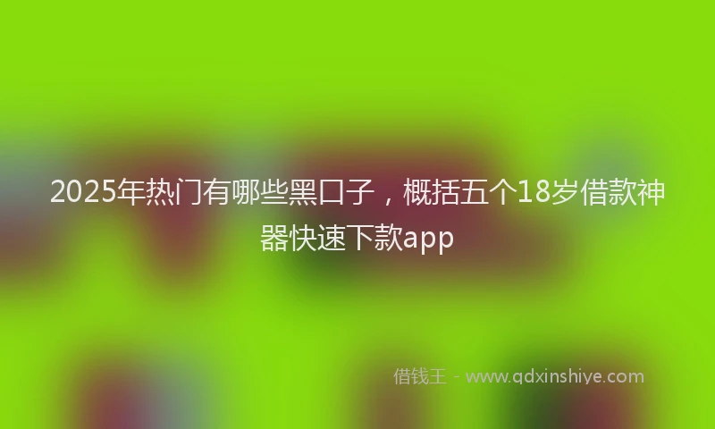 2025年热门有哪些黑口子,概括五个18岁借款神器快速下款app