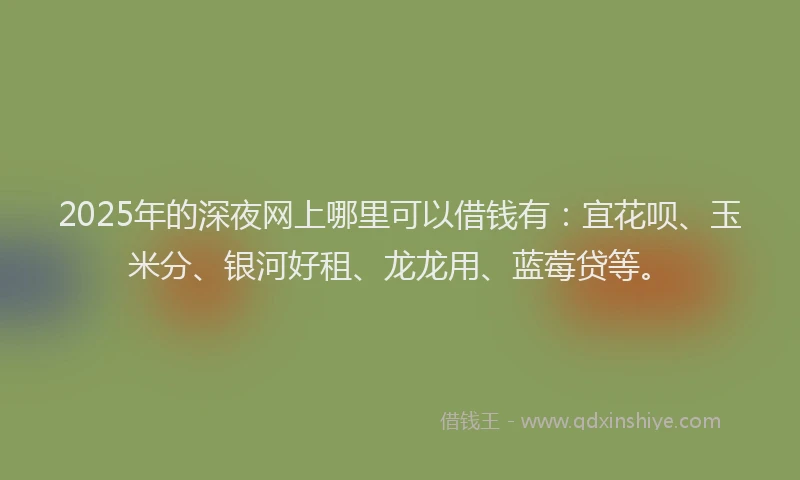 2025年的深夜网上哪里可以借钱有:宜花呗、玉米分、银河好租、龙龙用、蓝莓贷等。