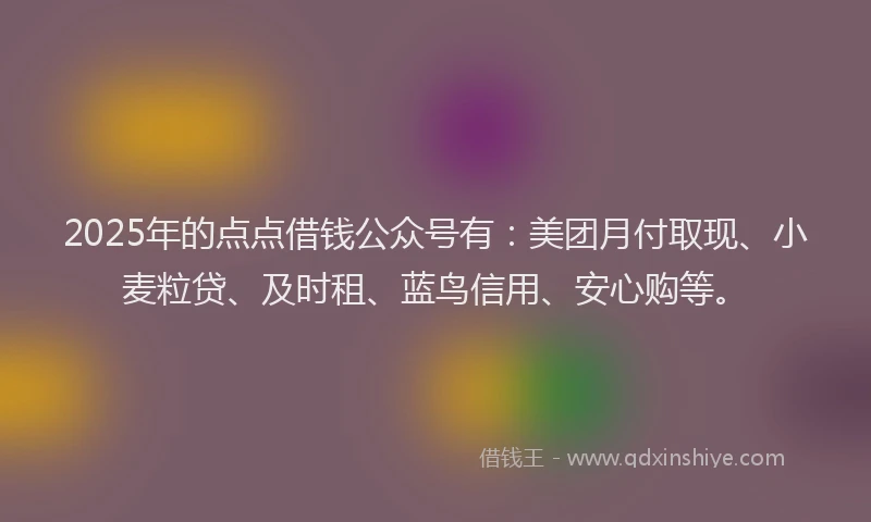 2025年的点点借钱公众号有：美团月付取现、小麦粒贷、及时租、蓝鸟信用、安心购等。