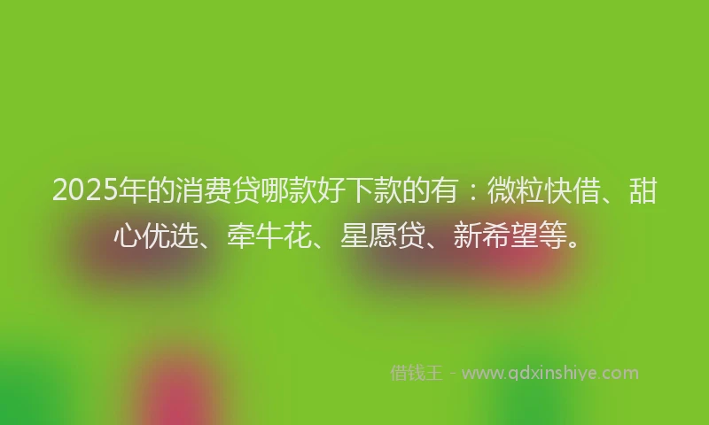 2025年的消费贷哪款好下款的有:微粒快借、甜心优选、牵牛花、星愿贷、新希望等。