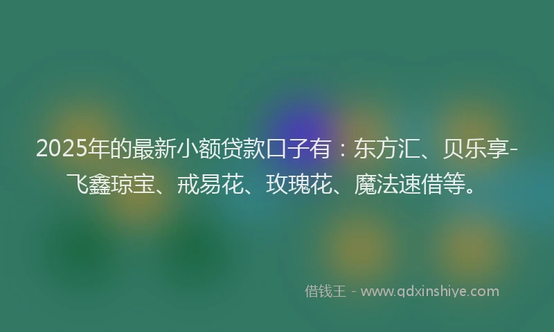 2025年的最新小额贷款口子有：东方汇、贝乐享-飞鑫琼宝、戒易花、玫瑰花、魔法速借等。
