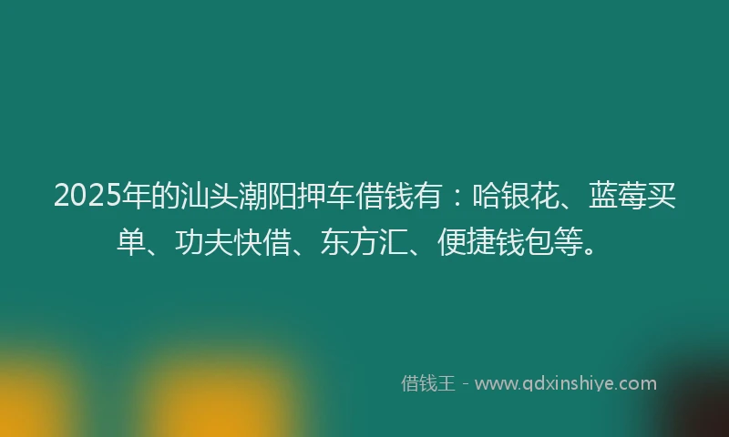 2025年的汕头潮阳押车借钱有：哈银花、蓝莓买单、功夫快借、东方汇、便捷钱包等。