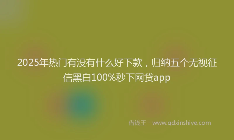 2025年热门有没有什么好下款，归纳五个无视征信黑白100%秒下网贷app