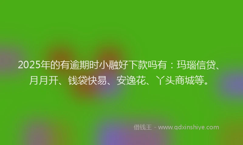 2025年的有逾期时小融好下款吗有：玛瑙信贷、月月开、钱袋快易、安逸花、丫头商城等。